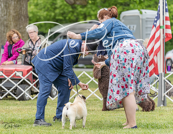 20230427-DSC07465