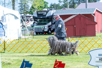 20230512-DSC05347