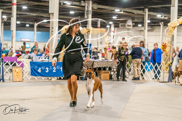 20261022-DSC01028