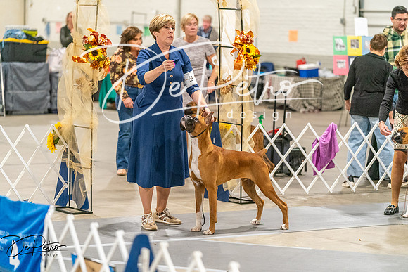20261022-DSC00585