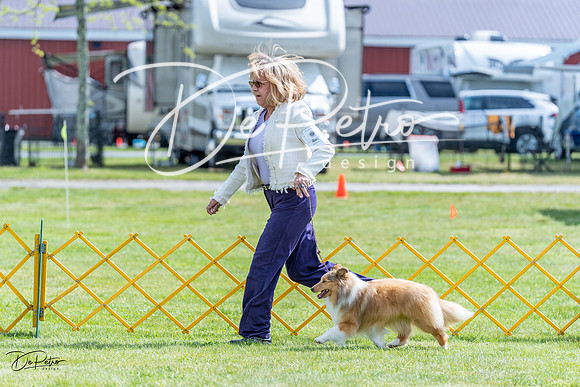 20230512-DSC05516