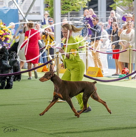 20230509-DSC01409-2