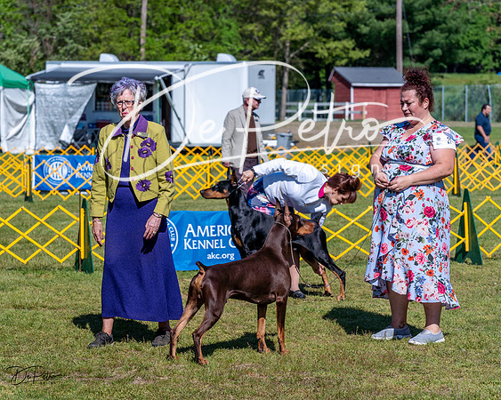 20230514-DSC03162