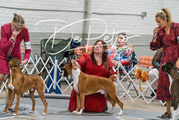 20261023-DSC05758