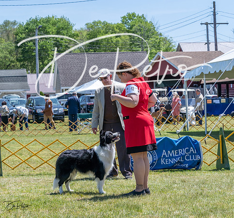 20230514-DSC05018