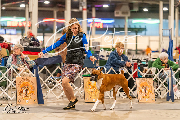 20261023-DSC05453