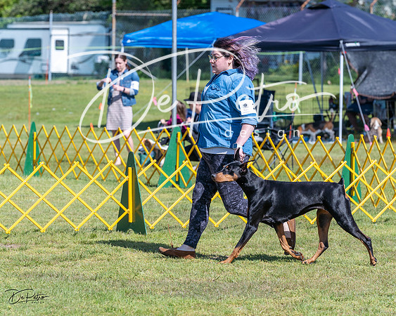 20230514-DSC03465
