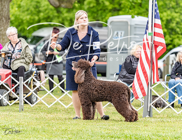 20230427-DSC07514