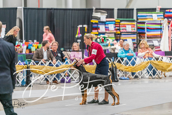 20260927-DSC05418