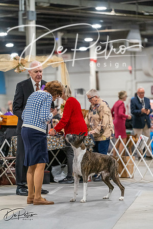 20261023-DSC05381