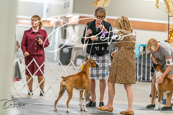 20261022-DSC00162