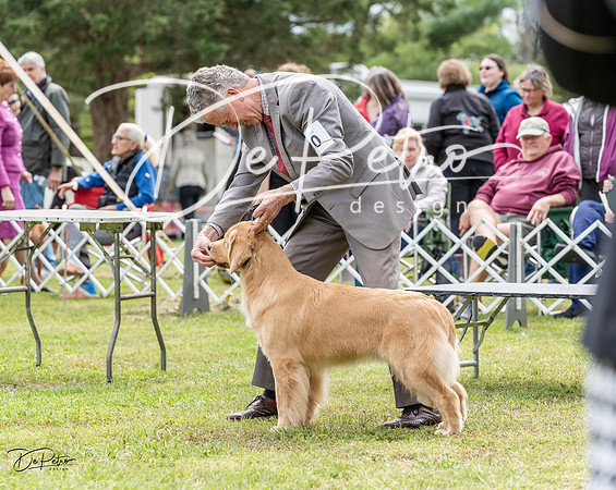 20230427-DSC06001