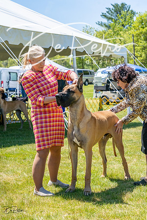 20230514-DSC07887