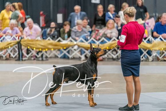 20260927-DSC05424