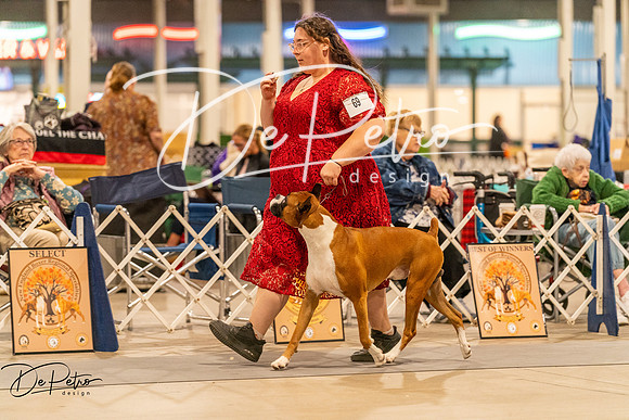 20261023-DSC05460