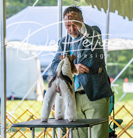20230513-DSC02548
