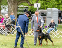 20230427-DSC07265