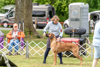 20230427-DSC06469