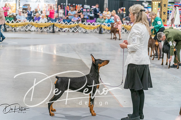20260927-DSC05252