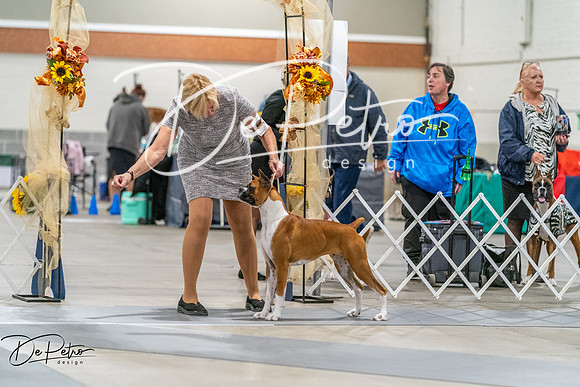 20261022-DSC00167