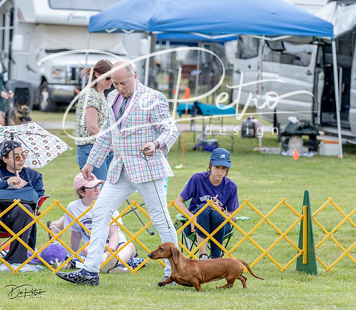20230512-DSC03862