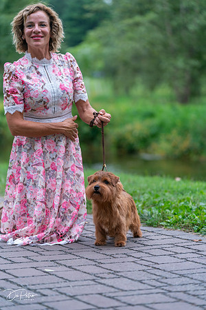 20260912-DSC03250