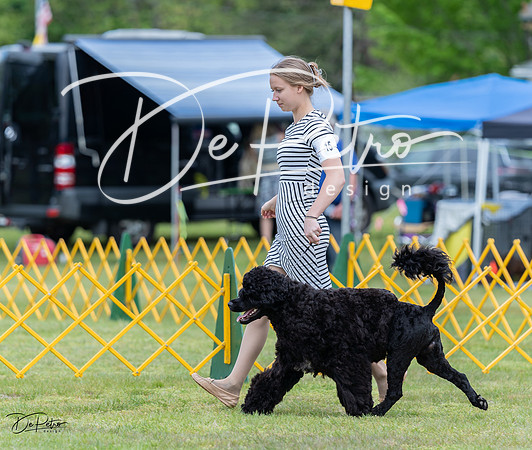 20230513-DSC08041