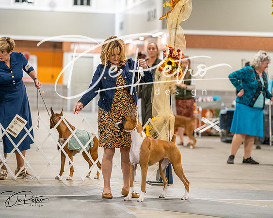 20261022-DSC03065