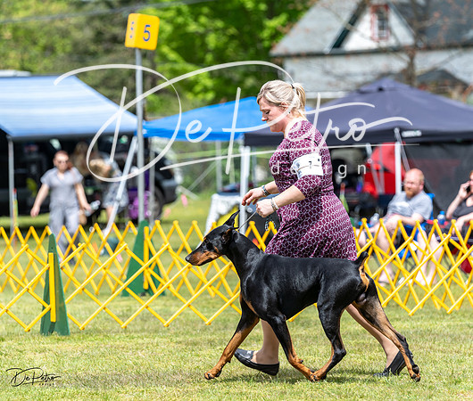 20230513-DSC08187