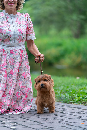 20260912-DSC03212
