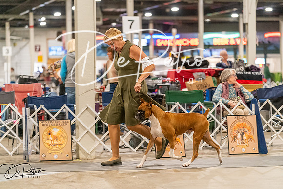 20261023-DSC05435