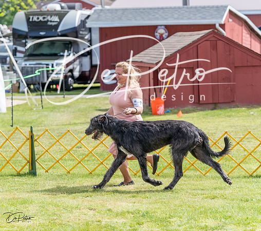 20230513-DSC09781