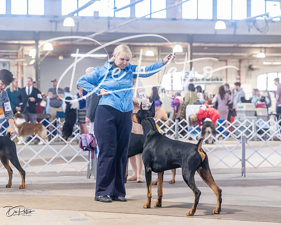 20230401-DSC06519