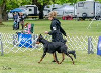 20230428-DSC07681