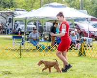 20230513-DSC00041