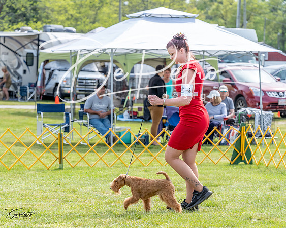 20230513-DSC00041
