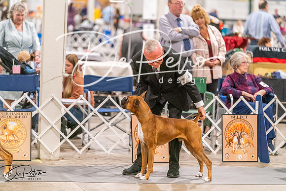 20261024-DSC08395