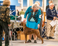 20261022-DSC01637