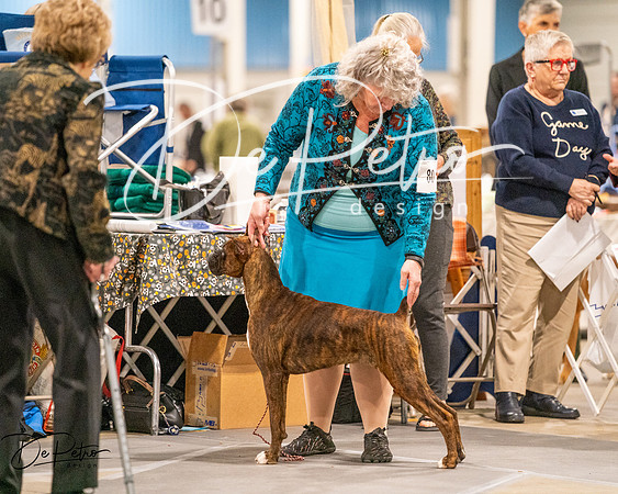 20261022-DSC01637