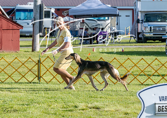 20230513-DSC02393