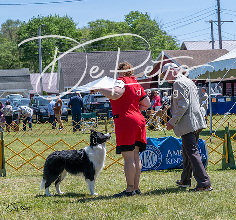 20230514-DSC05012