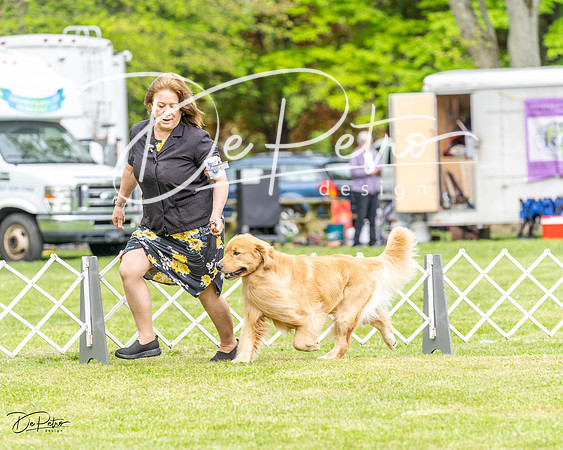 20230427-DSC03395