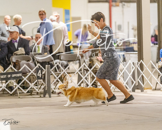 20230401-DSC08077