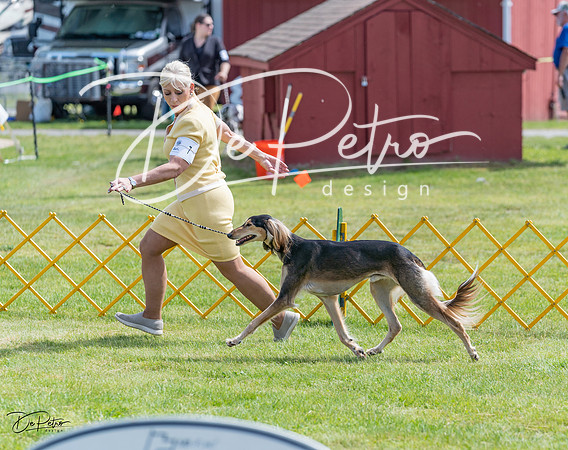 20230513-DSC09569