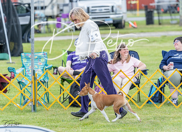 20230512-DSC03724