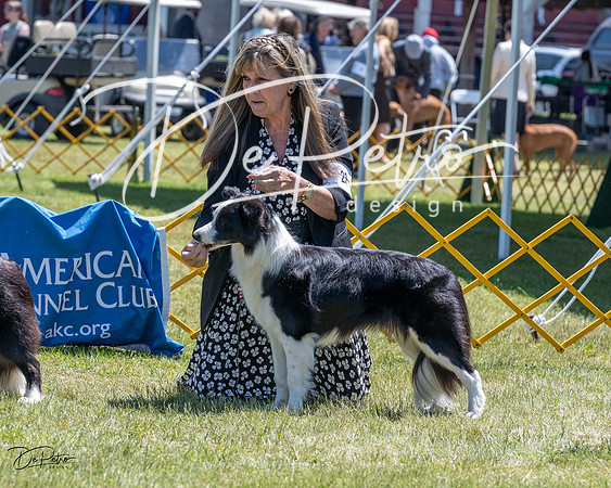 20230514-DSC04785
