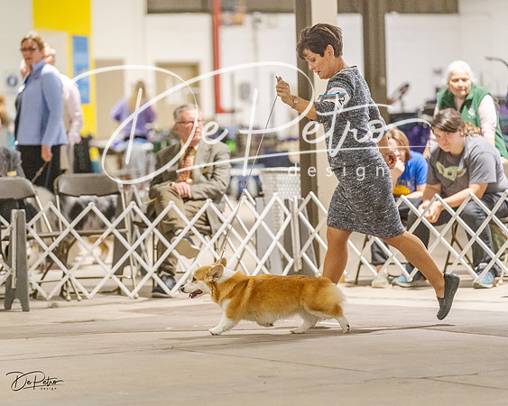 20230401-DSC08074
