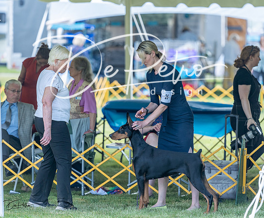 20230513-DSC08931