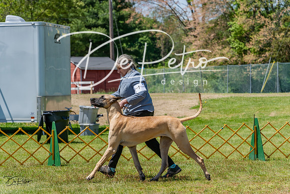 20230514-DSC07859