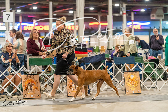 20261023-DSC05355